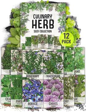 9724770 Seed Needs Herb Seeds Variety Pack Culinary Collection 12 Mixed