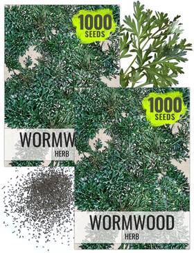 B002ttgo3c Seed Needs Wormwood Seeds For Planting - Non-gmo Heirloom 2 Packs