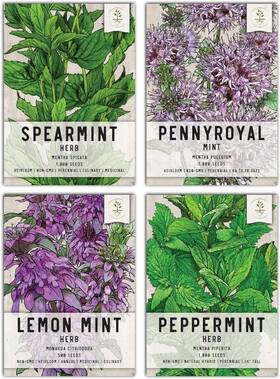 B01n6ovjap Seed Needs Mint Seeds For Planting Spearmint Peppermint Lemon And Brown