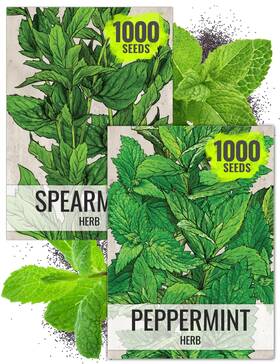 B0841wpp3p Seed Needs Mint Seeds For Planting Spearmint And Peppermint - Non-gmo Green
