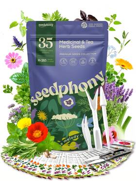 Seedphony Spsmt 20 09 35 Medicinal And Tea Herb Seeds Variety Green Violet Purple Pink