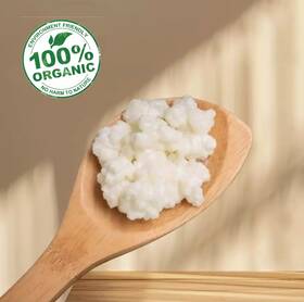 Simply Life Probiotics 163864152746 1 Tsp Fresh Live Milk Raw Kefir Organic Grains 100% Natural Ideal For Fermentati