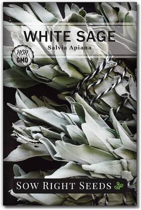 Sow Right Seeds 672299384354 - White Sage Seed For Planting Non-gmo Heirloom Blue
