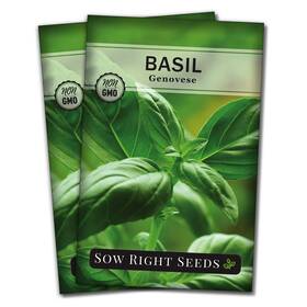 Sow Right Seeds 691324788172 - Genovese Sweet Basil Seed For Planting Non-gmo 2 Green