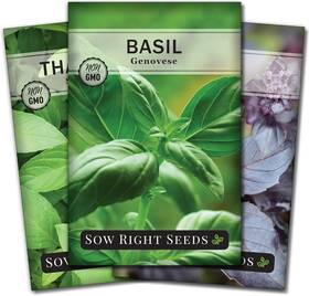 Sow Right Seeds 691324788264 - Basil Seed Collection For Planting Non-gmo 3 Packets Mix