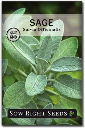 Sow Right Seeds 691324789643 - Sage For Planting Non-gmo Heirloom Green Pink White