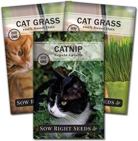 Sow Right Seeds 696550394043 - Catnip And Cat Grass Seed Collection For 3 Packets Green