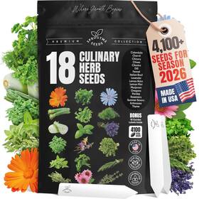 Sms-s-01-01-04-culher18 Sproutme Seeds Culinary Herb Variety Pack Basil Cilantro Parsley Oregano Mix
