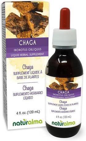 Srl 313049993906 Chaga Inonotus Obliquus Fungus Or Mushroom Alcohol-free Tincture - 4 Fl Oz Liq