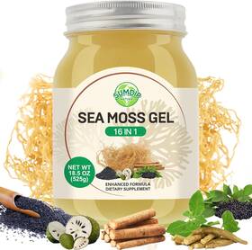 Sumdip 313033852851 Sea Moss Gel 16 In 1 - Irish Mossgel 18.5oz With Wildcrafted Seamossgel Bla