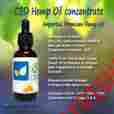 Sw1319 Supplement Swanson Cold 120 600mg Echinacea Myrrh Flu Health Gum Immune Capsules