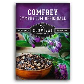 Sgscomfrey-1 Survival Garden Seeds Comfrey For Planting - Symphytum Officinale Medicinal Green Purple