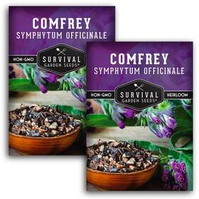 Sgscomfrey-2 Survival Garden Seeds Comfrey For Planting - Symphytum Officinale Medicinal Green Purple
