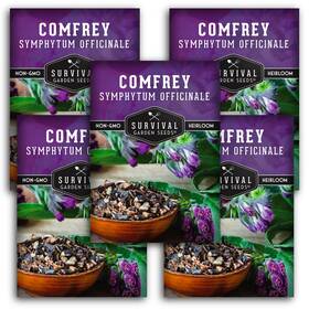 Sgscomfrey-5 Survival Garden Seeds Comfrey For Planting - Symphytum Officinale Medicinal Green Purple