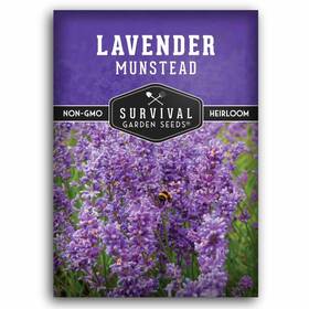 Sgslavendermunsteadstrain-1 Survival Garden Seeds Munstead English Lavender For Planting Compact Dwarf Purple