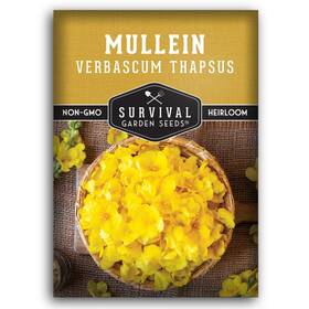 Sgsmullein-1 Survival Garden Seeds Mullein For Planting - Verbascum Thapsus Medicinal Yellow Green