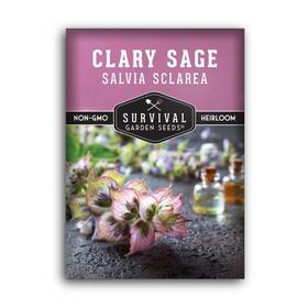 Sgssageclary-1 Survival Garden Seeds Clary Sage For Planting - Medicinal Herb Lavender Pink