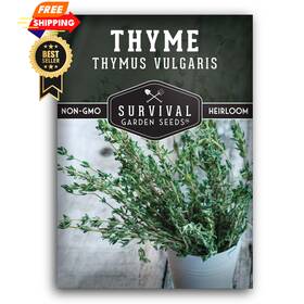 Sgsthyme-1 Survival Garden Seeds Thyme For Planting Indoors Or Outdoors English 1 Green