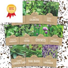 Sweet Yards 686603763063 Organic Herb Seeds Variety Pack - 10 Varieties Culinary Green