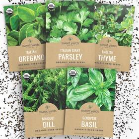 Sweet Yards 686603765760 Organic Herb Seeds Variety Pack - 5 Individual Packs 2026 Season Basil