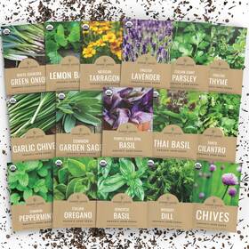 Sweet Yards 686603765777 Organic Herb Seeds Variety Pack - 16 Individual Packs 2026 Season Basil