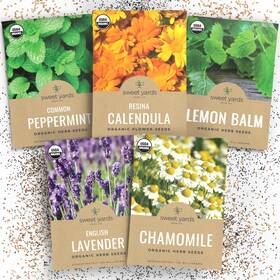 Sweet Yards 686603765876 Organic Herbal Tea Seeds Variety Pack - 5 Individual Packs 2026 Mixed