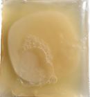 Synchkg049241 Scoby Kombucha Organic Live Culture By