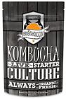 Synchkg120352 Fermentaholics Kombucha Scoby And Starter Tea Live Culture 742574302301