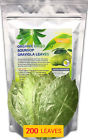 Synchkg124238 Nallife Organic Soursop Graviola Leaves For Tea 885662356937