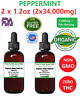 T18100 Tincture Master Peppermint Organic Hemp Oil Extract Pain 791943369193
