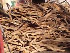 Brigrh32 Tea Sassafras Wild Beer. Root Lb. 1