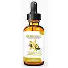 The Care Brand 800 Mg Pure Hemp Oil 2 Fl Oz Vanilla Flavor Non-gmo 787639572664