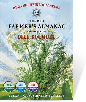 The Old Farmers Almanac 850008688584 Organic Dill Bouquet Seeds - Approx Green Yellow