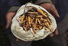 Quality.3grams Tibetan Sinensis.hand-picked Highest Wild 100 Corderceyps