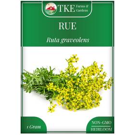 Tke Farms & Gardens 850034541914 And - Rue Seeds For Planting 1 Green With Yellow Flowers