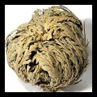Trtd7758 Herbs Rose Of Jericho Whole Free Shipping Outdoor Living