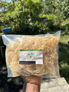 Trueseamoss 732064730851 Natural Sea Moss Raw 100% Wildcrafted Irish Seamoss Superfood Organic Veagan