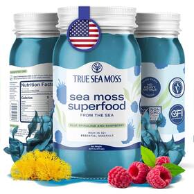 Tsm-191-spg1 Trueseamoss Wildcrafted Irish Sea Moss Gel - Made With 16 Fl Oz Pack Of 1