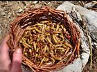 Unbranded Organic Balm De Gilead Cottonwood Buds Oz