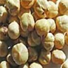 Lbx3 Undisclosed Indus Organic Roasted Hazelnut 1 Sulfite Free Salt Freshly Packed 811141020280