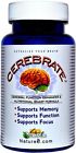 Vlc 4 Organics Cerebrate Brain 604573289352