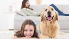 Wac9500 Winix Dog Allergy Allergies 023169123403