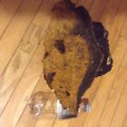Weighs Fresh Mushroom 2014 5.8lbs Picked Chaga