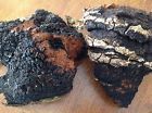 Chunks1 Western Pound Maine Mountains Lb.1 Rangeley Chaga Organic