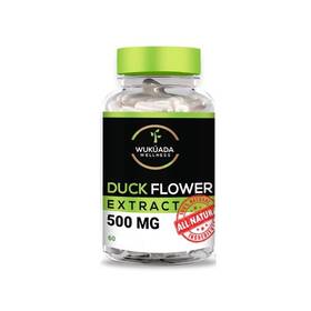 19791 Wuk Ada The Duck Flower Detox Flor De Pato Dr Sebi Approved Alkaline Herbal Cleanse