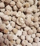 1/2" Desert Rose Selenite Flower Pound Crystal Gemstone Mineral Specimen. Fixed Price $36.72.