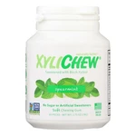 Xylichew Chewing Gum - Sugar Free Spearmint 60 Piece Jar Case Of 4. Fixed Price $58.12.