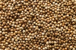 Coriander Seed, Whole, Dried, (coriandrum Sativm) 2OZ/56G To 8OZ/226.8G. Fixed Price $8.99.