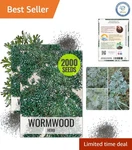 Wormwood Seeds For Planting Non-gmo Perennial Herb Digestion 1000. Fixed Price $15.15.