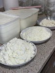 Kefir Grains 100% Natural Rich Probiotics Source Of Vitamins & Minerals 30GRM. Fixed Price $20.00.